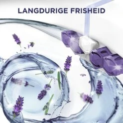 Glorix Power 5 Toiletblokken - Lavendel - 9 Stuks - Voordeelverpakking 13 Glorix Power 5 Toiletblokken - Lavendel - 9 Stuks - Voordeelverpakking -Winkel Voor Schoonmaakartikelen 1200x1200 1003