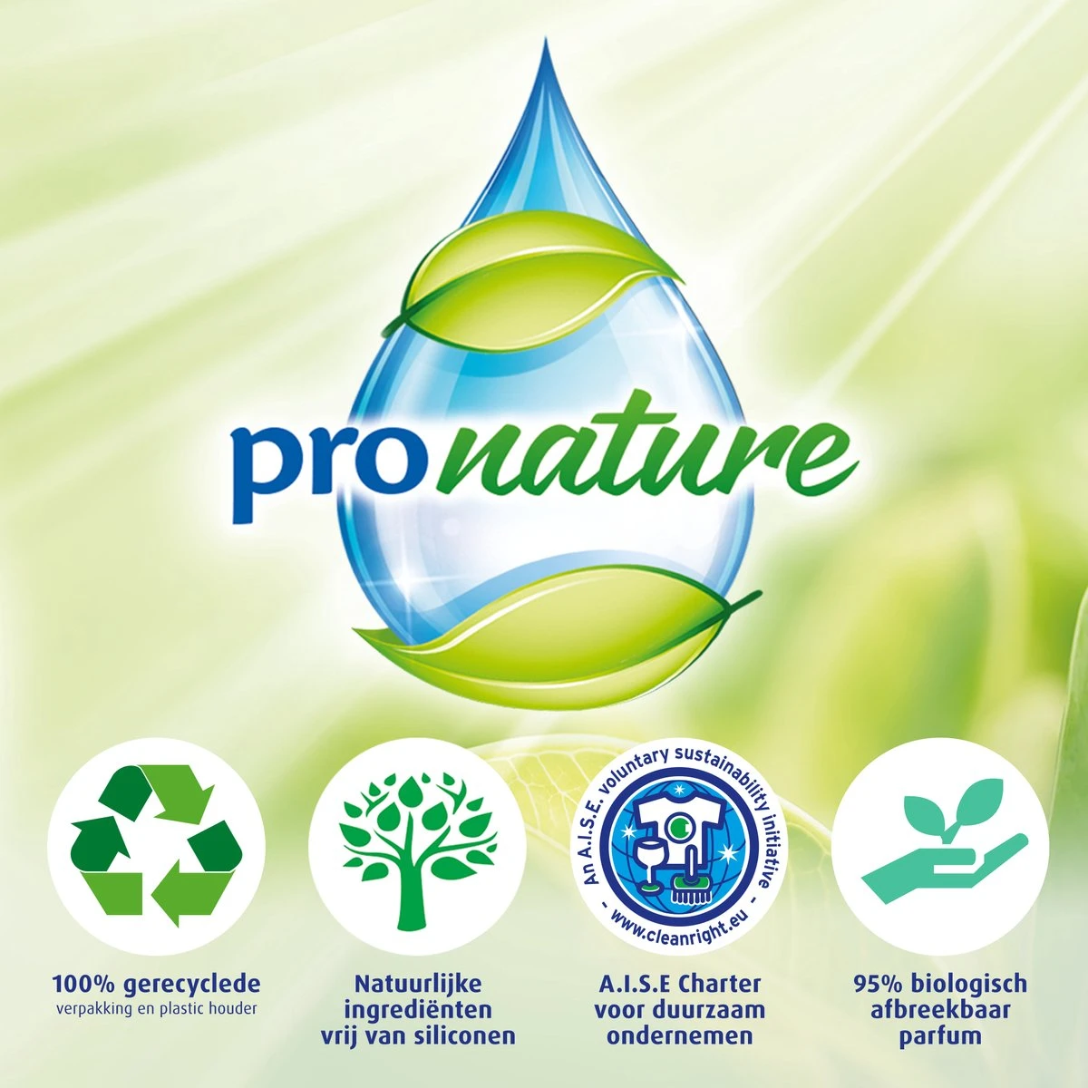 Witte Reus Pro Nature Munt Eucalyptus - 10 Stuks 4 Witte Reus Pro Nature Munt Eucalyptus - 10 Stuks - Afbeelding 4