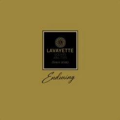 Lavayette Premium Wasparfum - Proefpakket 9x25ml - Geurbooster 15 Lavayette Premium Wasparfum - Proefpakket 9x25ml - Geurbooster -Winkel Voor Schoonmaakartikelen 1200x1200 392