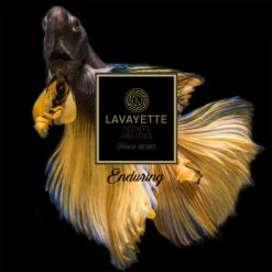 Lavayette Premium Wasparfum - Proefpakket 9x25ml - Geurbooster 16 Lavayette Premium Wasparfum - Proefpakket 9x25ml - Geurbooster -Winkel Voor Schoonmaakartikelen 1200x1200 393