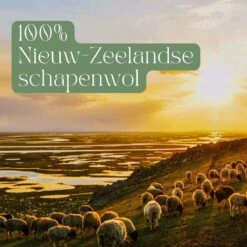 Miki's Goods® XL Wollen Drogerballen 6 Stuks - Panda Wasballen - Duurzaam - Wasbol - 100% Nieuw-Zeelandse Schapenwol - Wasbollen - Herbruikbaar- Droogballen - Snellere Droogtijd - Zuigt Dierenharen Op 14 Miki's Goods® XL Wollen Drogerballen 6 Stuks - Panda Wasballen - Duurzaam - Wasbol - 100% Nieuw-Zeelandse Schapenwol - Wasbollen - Herbruikbaar- Droogballen - Snellere Droogtijd - Zuigt Dierenharen Op -Winkel Voor Schoonmaakartikelen 1200x1200 625