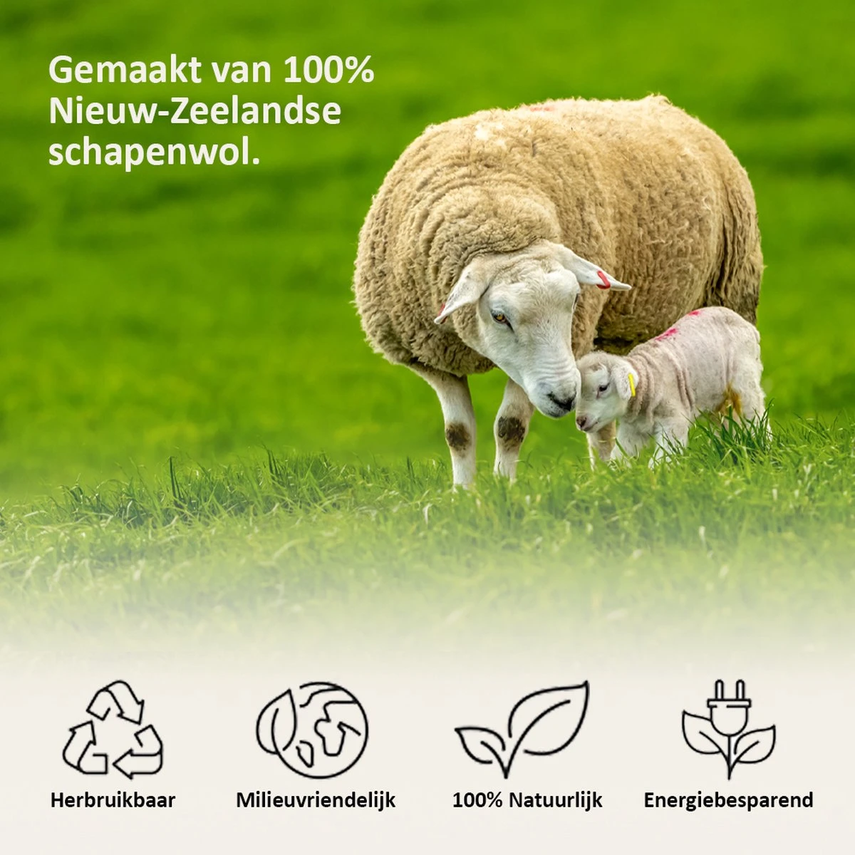 Droger Ballen Wol - Wasdroger Herbruikbare Wollen Droger Ballen - Droogballen Voor Snellere Droogtijd- Set 6 Stuks - Swilix 2 Droger Ballen Wol - Wasdroger Herbruikbare Wollen Droger Ballen - Droogballen Voor Snellere Droogtijd- Set 6 Stuks - Swilix - Afbeelding 2