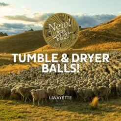 Lavayette XL Drogerballen Met 25ml Wasparfum - WasdrogerBallen – Droogballen – Wasbol – 100% Nieuw-Zeelands Schapenwol – Milieu- En Diervriendelijk – 6 Stuks -Winkel Voor Schoonmaakartikelen 1200x1200 661