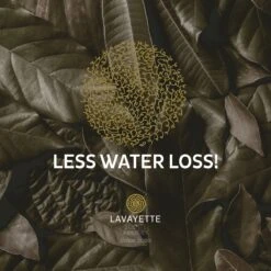 Lavayette XL Drogerballen Met 25ml Wasparfum - WasdrogerBallen – Droogballen – Wasbol – 100% Nieuw-Zeelands Schapenwol – Milieu- En Diervriendelijk – 6 Stuks -Winkel Voor Schoonmaakartikelen 1200x1200 666