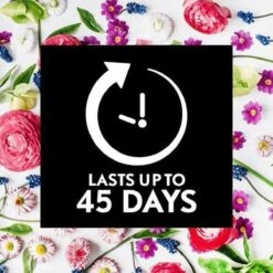 Air Wick Essential Mist Automatische Geurverspreider Luchtverfrisser - Innerlijke Rust - Navulling 15 Air Wick Essential Mist Automatische Geurverspreider Luchtverfrisser - Innerlijke Rust - Navulling -Winkel Voor Schoonmaakartikelen 1200x1200 735