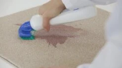 Dr. Beckmann Tapijtvlekkenborstel - Tapijtreiniging - Tapijt Vlekverwijderaar Met Borstel - Schoon Tapijt - Dierenvlekkenverwijderaar -Winkel Voor Schoonmaakartikelen 1200x674