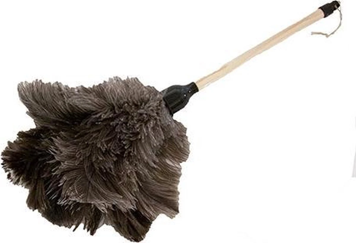 Plumeau Struisvogelveren Lengte 50 Cm 1 Plumeau Struisvogelveren Lengte 50 Cm