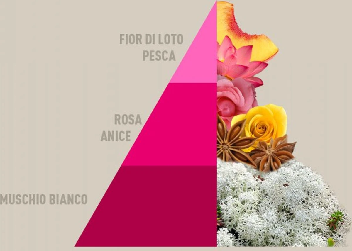 Horomia Wasparfum Muschi-e-Loto - 500ml 2 Horomia Wasparfum Muschi-e-Loto - 500ml - Afbeelding 2