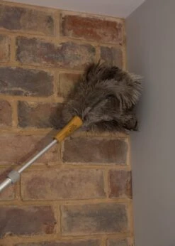 Plumeau Met Struisvogelveren, Bruin - KitchenCraft | Living Nostalgia 11 Plumeau Met Struisvogelveren, Bruin - KitchenCraft | Living Nostalgia -Winkel Voor Schoonmaakartikelen 856x1200 3